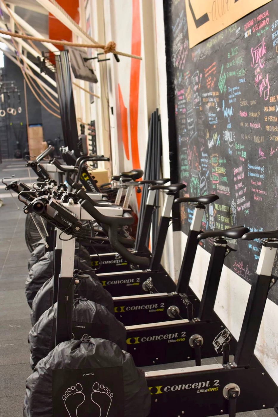 BikeErg Concept2 en fila